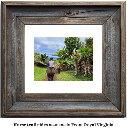 horse trail rides near me in Front Royal, Virginia